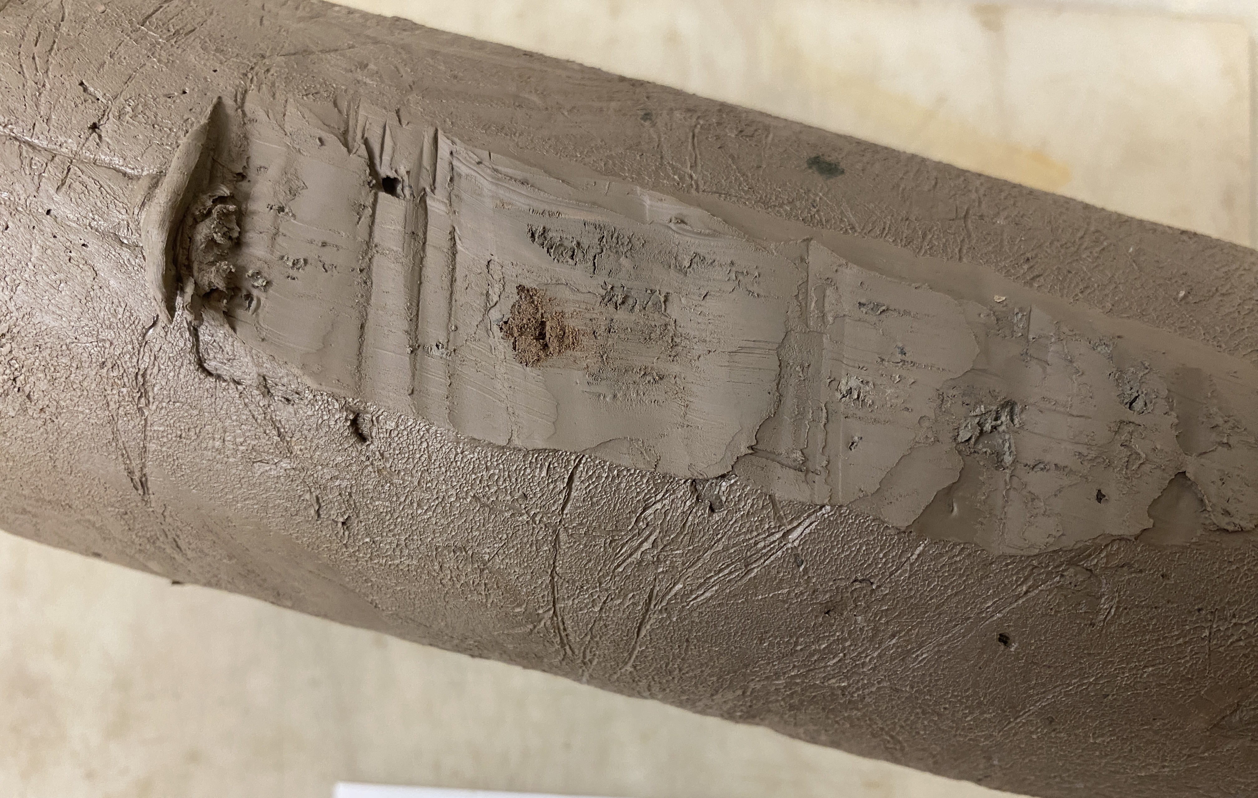 Soil sample from field